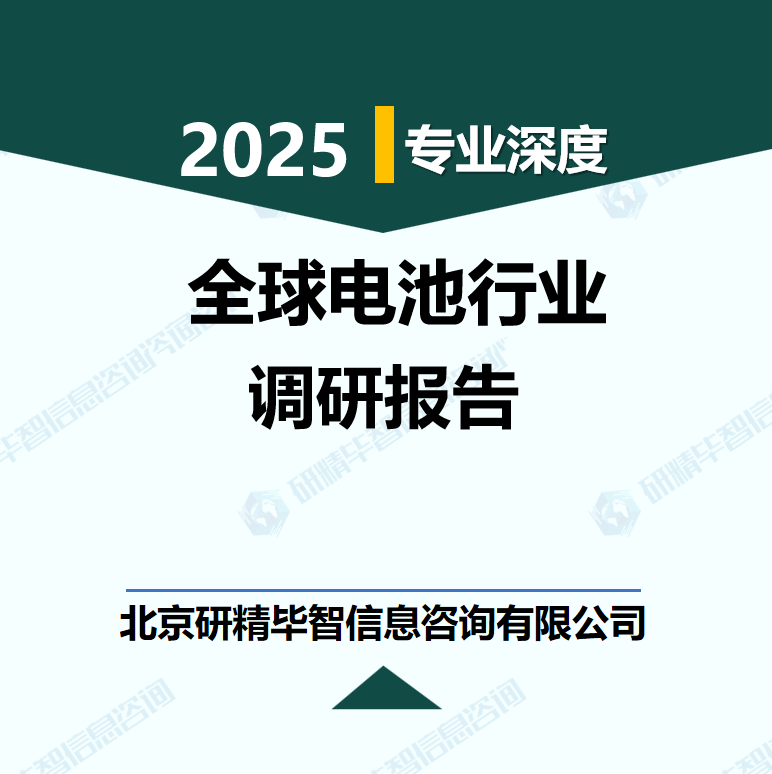全球電池行業數據及市場調研分析報告